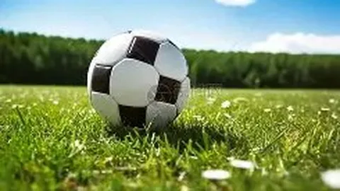 大乐透期号专家质合分析：亨克客场挑战弗赖堡能否逆转纪录
